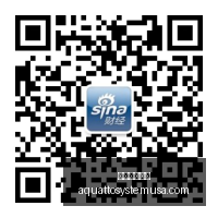 电竞手机首,游戏新体验,足球投注网站,足球投注网站官网,足球投注网站App,足球投注网站下载,足球投注网站登录,足球投注网站平台